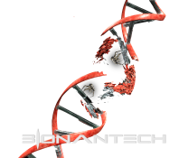 Bionantech